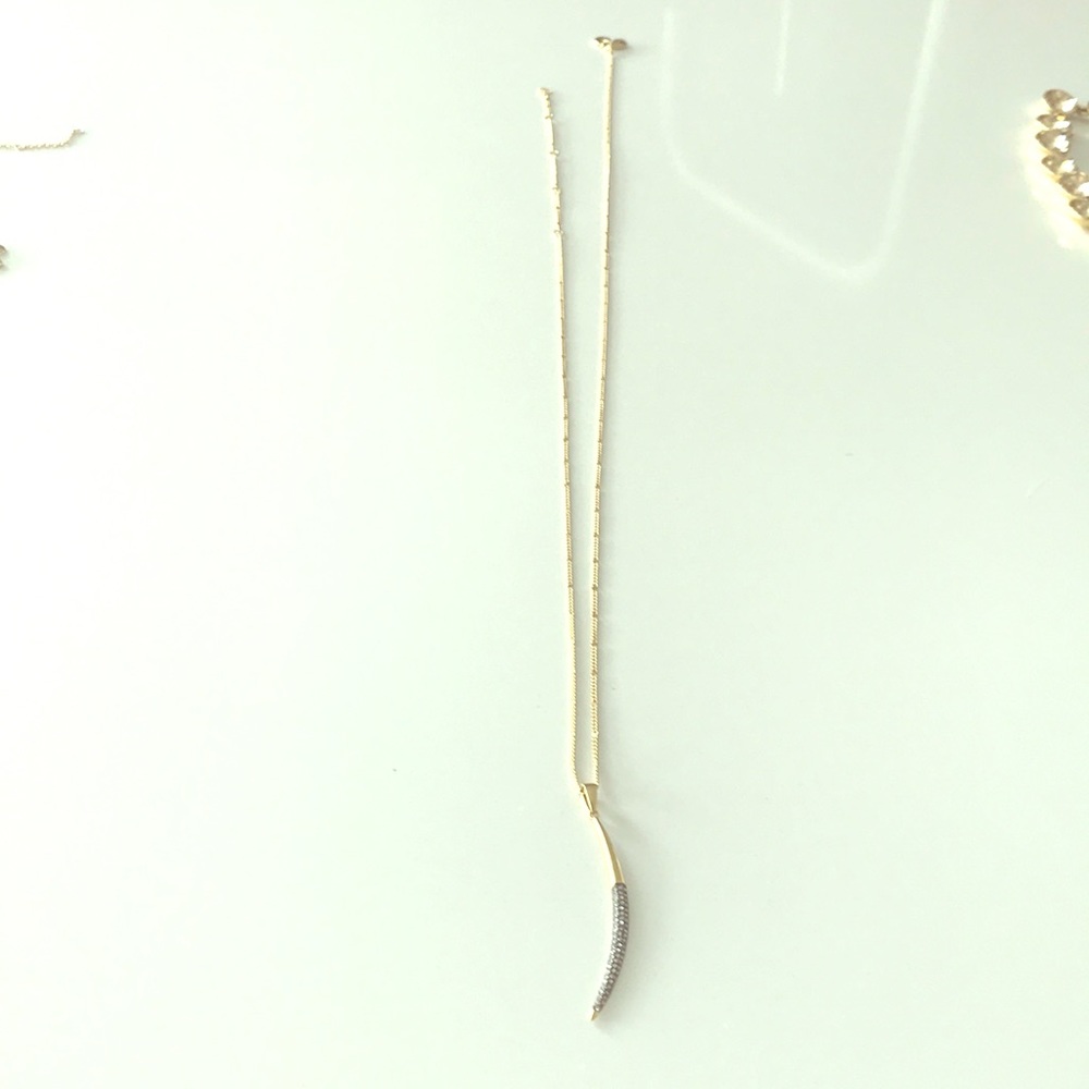 Another cute horn necklace by Stella and dot